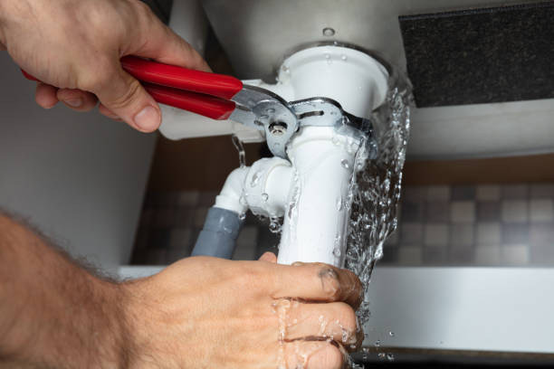 Best Professional water damage repair  in Beltsville, MD