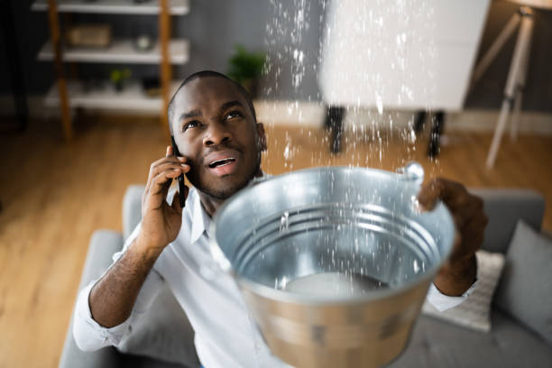 Best Residential water damage restoration  in Beltsville, MD