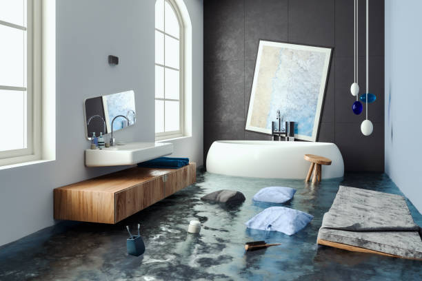 Best Ceiling water damage repair  in Beltsville, MD