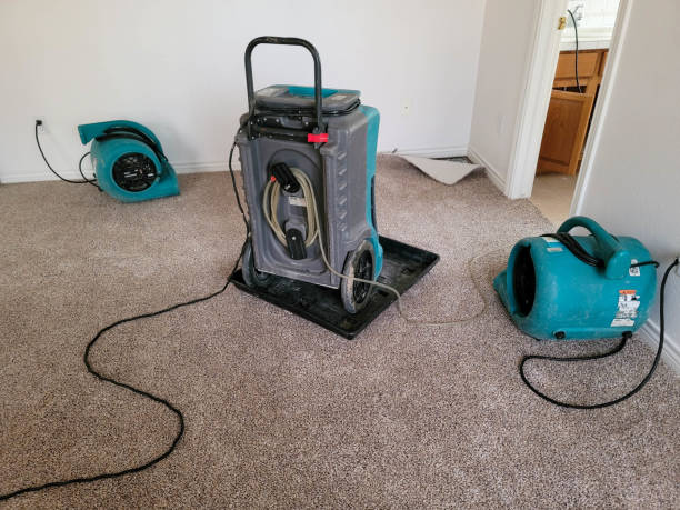 Best Sewage cleanup and water damage restoration  in Beltsville, MD