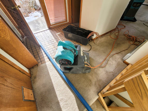 Best Water damage restoration services  in Beltsville, MD