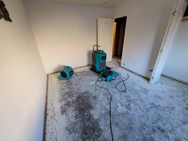  Beltsville, MD Water damage restoration Pros