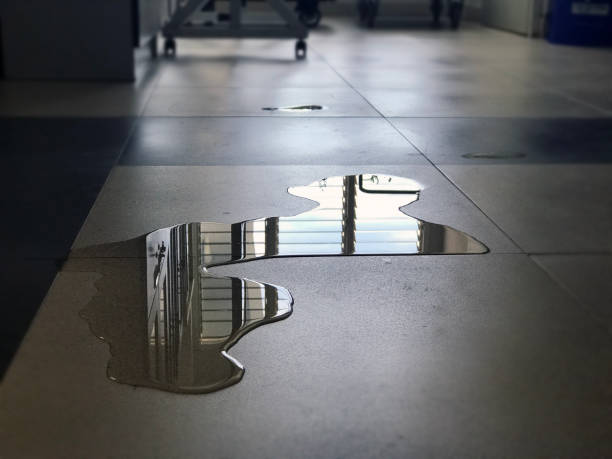 Best Water damage repair service  in Beltsville, MD