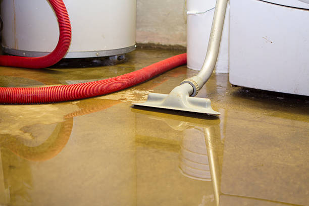 Beltsville, MD Water damage restoration Company