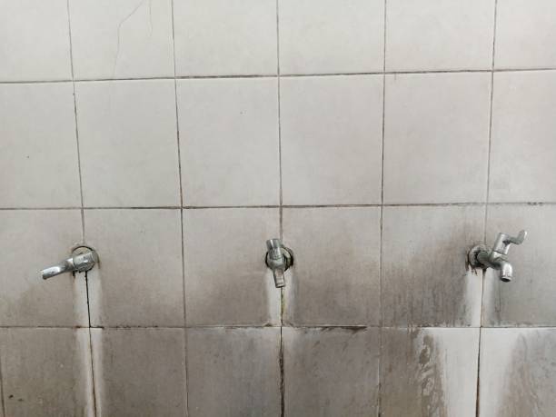 Best Water damage contractors near me  in Beltsville, MD