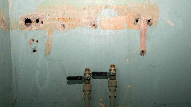 Best Ceiling water damage repair  in Beltsville, MD
